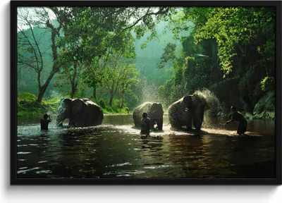 Produktbild von MuchoWow® MuchoWow® Gerahmtes Poster Elefant - Wasser - Bäume - Grün - Tiere 90x60 cm - Poster mit zchwarzem Bilderrahmen - Fotorahmen - Foto-Plakat