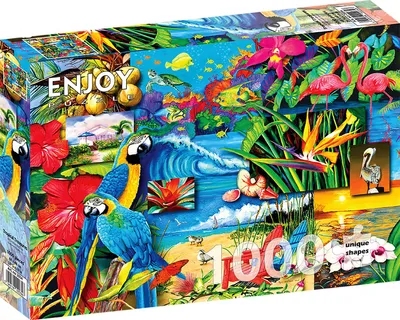 Immagine prodotto di Puzzle 1000 pezzi Enjoy – Tesori Tropicali
