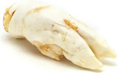 Productafbeelding van Hondensnack Gloria, voetjesvorm