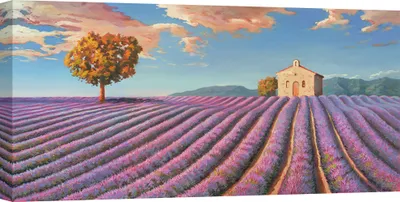 Productafbeelding van Kunstafdruk op canvas – Landschappen - Adriano Galasso, Lavendelvelden – 100x50 cm