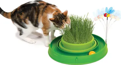 Obrázek produktu pro CATIT Play-n-Scratch mit Grasgarten - Grün