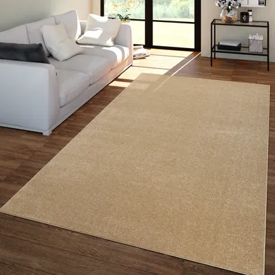 Produktbild von TT Home Wohnzimmer Teppich Kurzflor Unifarbendes Design Modern Und Zeitlos Größe 60x100 cm