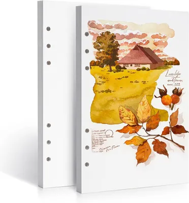 Productafbeelding van Set van 2 vellen aquarelpapier, 100% katoen, hittepers, 300 g/m², 40 vellen geperforeerd A5-geperforeerd verwisselbaar papier voor kunstenaars