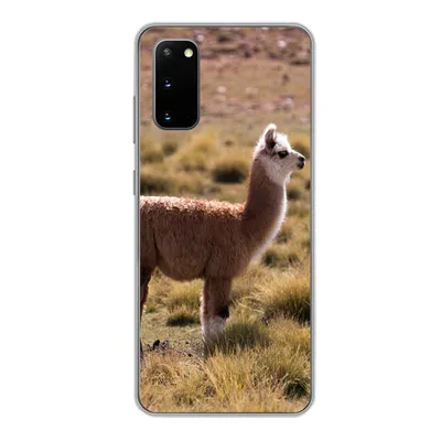 Produktbild von MuchoWow® Handyhülle Schutzhülle Hülle für Samsung Galaxy S20 Alpaka - Braun - Natur Silikon Softcase Handy Hülle - Bild