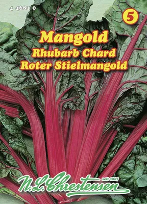 Produktbild von Mangold Rhubarb Chard | Mangoldsamen von N.L. Chrestensen