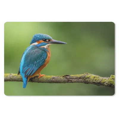 Produktbild von MuchoWow® Mauspad Mousepad Eisvogel - Zweig - Moos - Vogel - Grün 27x18 cm - Mousepads - Maus Mat - Pad - Mausunterlage - Büroartikel - Desk Matten