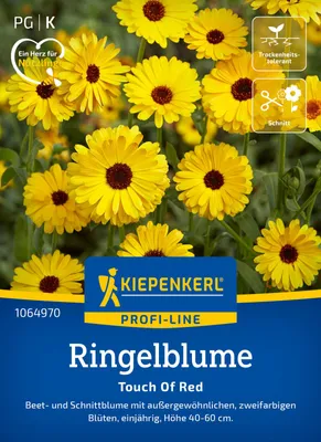 Produktbild von Kiepenkerl Profi-Line Blumensamen Ringelblumen Touch Of Red für ca. 80 Pflanzen