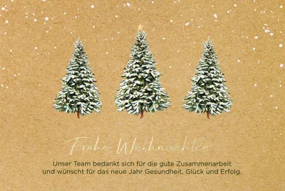 Produktbild von Weihnachten - Glückwunschkarte im Format 11,5 x 17 cm mit