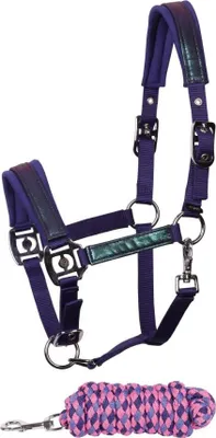 Obrázek produktu pro Harrys Horse halter set Diva Violet wisteria purple, velikost:Shetty