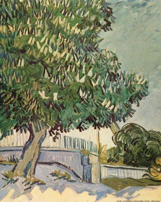 Zdjęcie produktu dla Obraz z nadrukiem Vincent Van Gogh - Kwitnący kasztanowiec II, 1890 (50 x 40 cm)