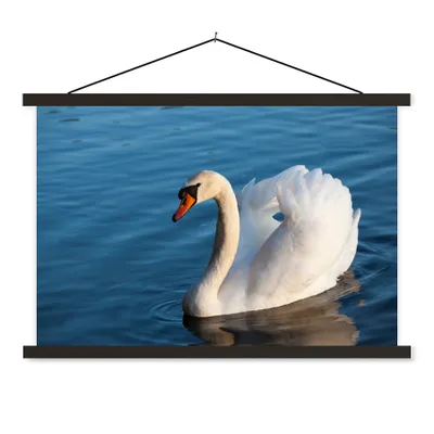 Produktbild von MuchoWow® Textilposter Schwan - Wasser - Vogel - Weiß 60x40 cm mit schwarzem Rahmen - Hölzernes