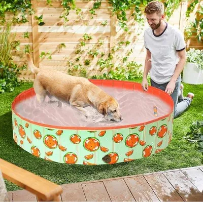 Produktbild von Portables Schwimmbecken für Hunde und Kinder, Faltschwimmbecken, Sommeraktion 80x20CM