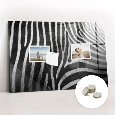 Imagen del producto de Pizarra magnética de pared, con superficie de vidrio y diseño arqueado. Incluye 5 imanes. Dimensiones: 60x40 cm. Diseño: cebra