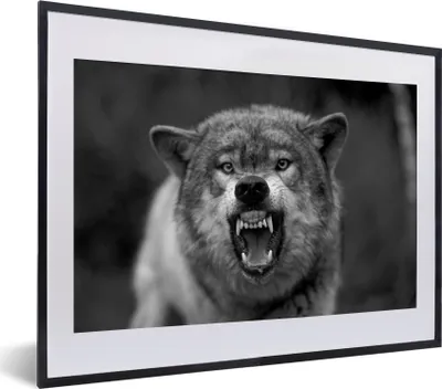 Produktbild von MuchoWow® MuchoWow® Gerahmtes Poster Böser Wolf - schwarz und weiß 40x30 cm - Poster mit zchwarzem Bilderrahmen - Bilderrahmen - Poster im Rahmen