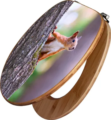 A toilet seat with a printed image of a squirrel on a tree.