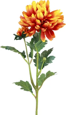 Produktbild von Künstlicher Dahlienzweig für Dekoration und Herbstarrangements
