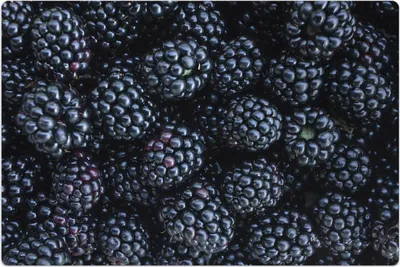Produktbild von Küchenmatte 60x90 cm Vinylmatte Bodenmatte Dekoration - Brombeere Obst