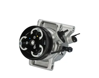 Produktbild von VALEO 699495 DKV09 Klimaanlage Klimakompressor PAG 100 R1234yf für DACIA SANDERO II für RENAULT Duster (HM)