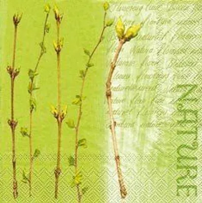 Immagine prodotto di Paper+Design 20184 Servietten Natur