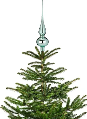 The top of a Christmas tree with a decorative topper.