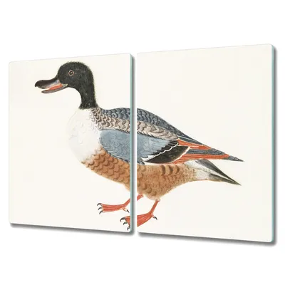 Produktbild von Coloray Hackbrett Herdabdeckplatte 2x40x52 cm Küchenbrett Kochplattenabdeckung Schneidebrett - Tierentenfedern