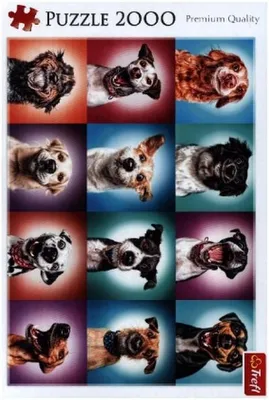 Image de Portraits de chiens amusants (puzzle)