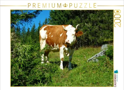 Produktbild von CALVENDO Puzzle Kuh auf der Alm | 2000 Teile Lege-Größe 90x67cm Foto-Puzzle für glückliche Stunden