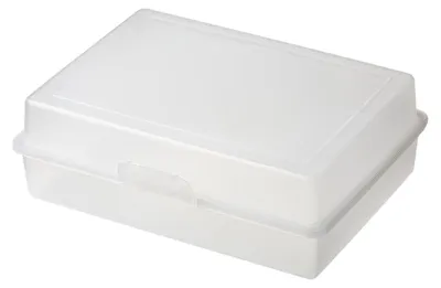 Produktbild von Lunchbox "Picknick" für Kinder – Geräumige Pausenbox, BPA-frei und  Germany, ideal als Frischhaltebox für Schule und Freizeit - Transparent-milchig