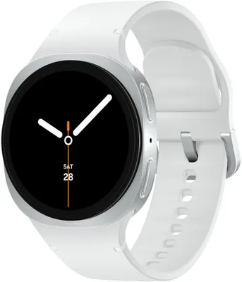 Produktbild von Samsung SM-L325FZSAEUB, 3,3 cm (1.3"), AMOLED, Touchscreen, 32 GB, GPS, 30 g