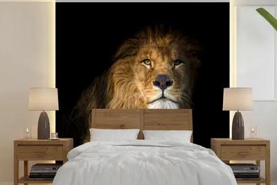 Produktbild von MuchoWow® Fototapete für Wohnzimmer oder Schlafzimmer Wandtapete Vinyl Motivtapete Löwe - Tier - Schwarz - 300x300 cm - Wanddekoration