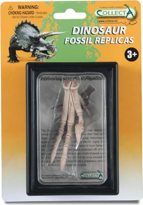 Produktbild von Collecta Dinosaurier Spielfigur - prähistorisches Spielzeug - Velociraptor