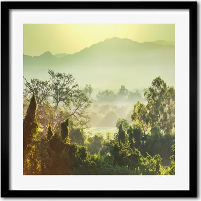 Produktbild von Bild - 50 cm x 50 cm - MDF - Rahmen, Wandkunst - Dschungel