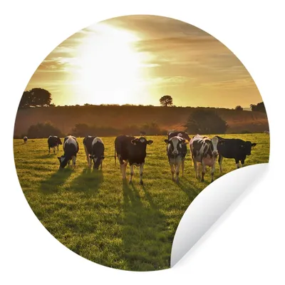 Produktbild von MuchoWow® Runde Wandtattoo - Wandsticker Tapete Aufkleber Kühe - Sonne - Licht Ø 50 cm Selbstklebend und Repositionierbar - Wandaufkleber - Kreis - Wand Kreis - Wand Bild - Foto Tapete - Selbstklebende - Wohnzimmerdekoration - Wand Dekoration - Kinderzimmer