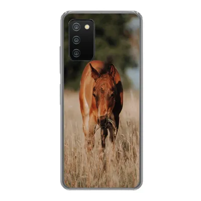 Produktbild von MuchoWow® Handyhülle Schutzhülle Hülle für Samsung Galaxy A03s Pferd - Sonne - Landschaft Silikon Softcase Handy Hülle - Schutz