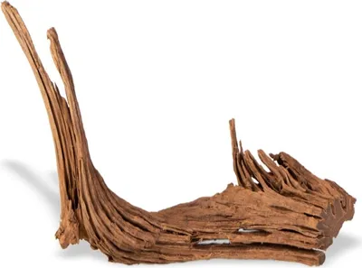 Immagine prodotto di Filippine Classic Driftwood - Mangrove pezzo di legno di acqua M 25cm - 30cm Terrario