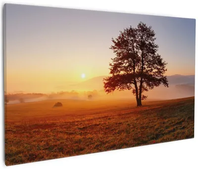 Produktbild von Wallario Premium Leinwandbild Sonnenaufgang über der Wiese mit Nebel in Größe 60 x 90 cm