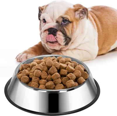 Produktbild von Nobleza Hundenapf Edelstahl 22 cm Rutschfest Langlebig
