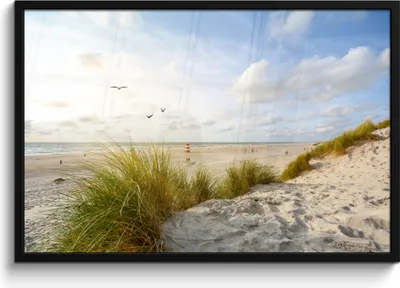 Produktbild von MuchoWow® MuchoWow® Gerahmtes Poster Strand - Meer - Vögel 90x60 cm - Poster mit zchwarzem Bilderrahmen - Fotorahmen - Foto-Plakat