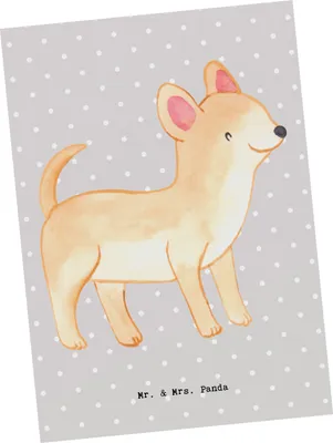 Produktbild von Mr. & Mrs. Panda Postkarte Chihuahua Lebensretter - Grau Pastell - Geschenk, bildkarte, Grußkarte, Postkarten, Ansichtskarten, Ansichtskarte