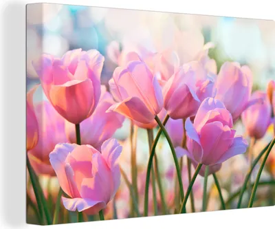 Produktbild von MuchoWow® - Leinwandbilder - Tulpen - Rosa - Frühling, Wandbild, Wanddeko Bilder Wohnzimmer, 120x80 cm