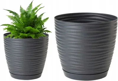 A potted fern plant and an empty pot with a saucer, both on a white background.