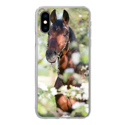Produktbild von MuchoWow® Handyhülle Schutzhülle Hülle für iPhone X Pferde - Blüte - Frühling - Tiere Silikon Softcase Handy Hülle - Handyhülle