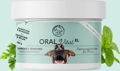 Produktbild von Oral Vital XL 350 g - Zahnpflege Hund gegen Mundgeruch - unterstützt aktiv bei Zahnstein, Plaque, Zahnbelägen und Verfärbungen