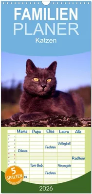 Produktbild von Familienplaner 2026 - Katzen mit 5 Spalten (Wandkalender, 21 x 45 cm) CALVENDO