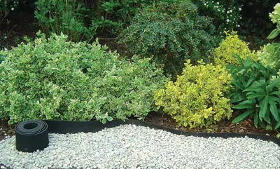 Image de Bordure en caoutchouc "Selfix Bordura" - 0,13 x 10 m