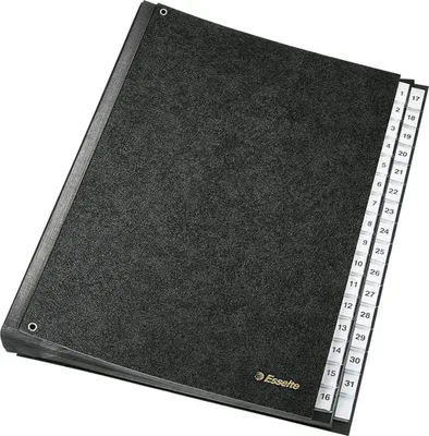 Produktbild von Esselte Pultordner 1114119 1-31 DIN A4 31Fächer Hartpappe schwarz