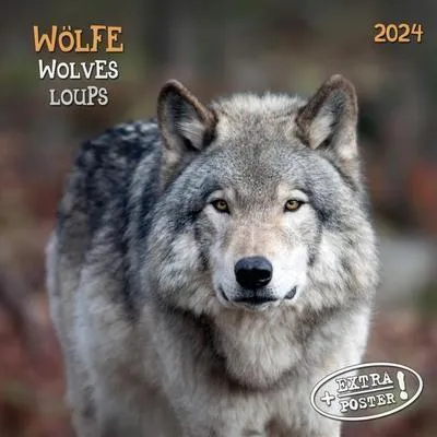 Produktbild von Wolves/Wölfe 2024