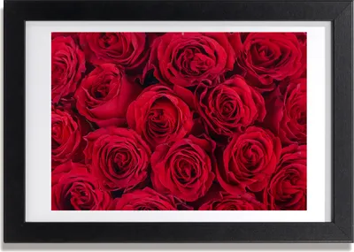 Produktbild von Bild 30x20 MDF-Rahmen, Wandkunst Rosen