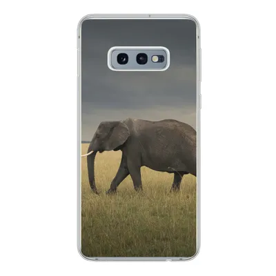 Produktbild von MuchoWow® Handyhülle Schutzhülle Hülle für Samsung Galaxy S10e Elefant - Savanne - Tiere - Natur Silikon Softcase Handy Hülle - Handy