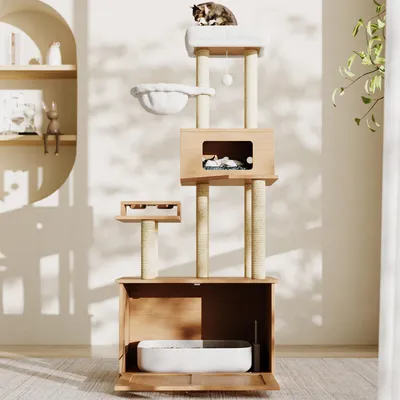 A cat tree with a litter box enclosure is shown in a well-lit room with natural light casting shadows.